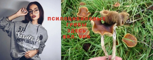 MESCALINE Михайловск
